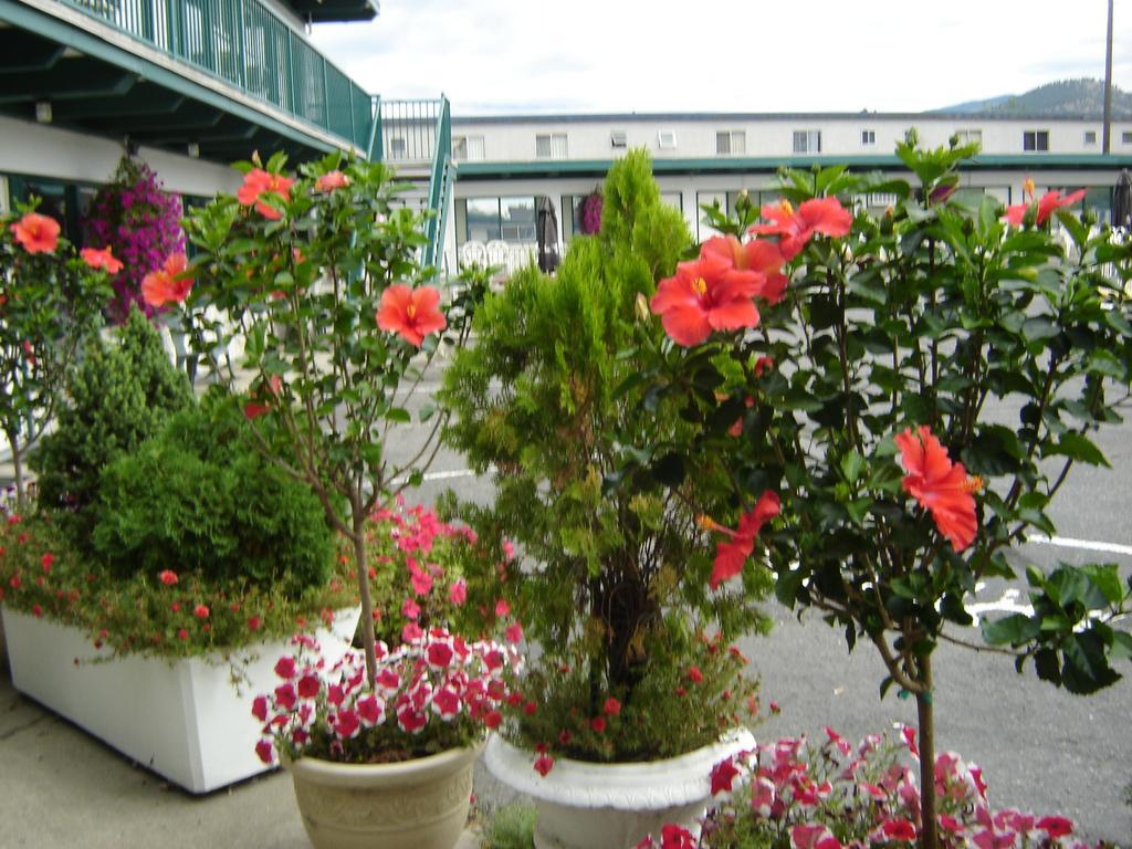 Flamingo Motel Penticton Bagian luar foto