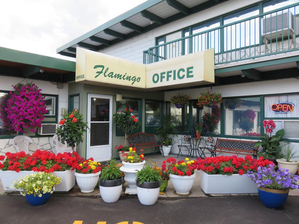 Flamingo Motel Penticton Bagian luar foto